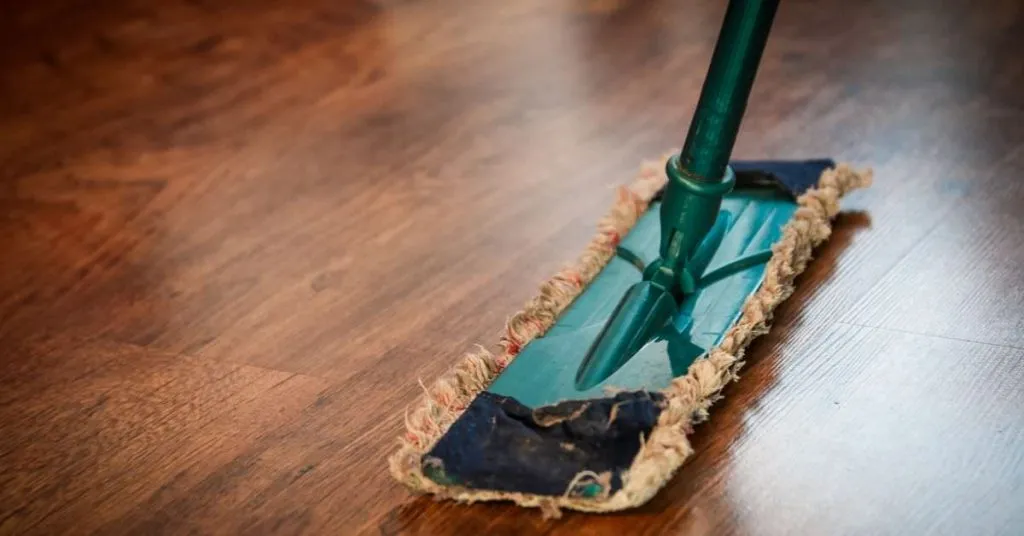 Mop on the floor