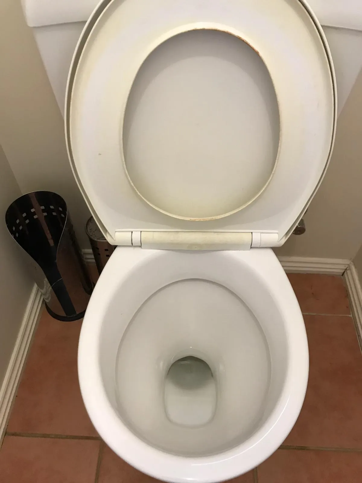 Toilet bowl after cleaning