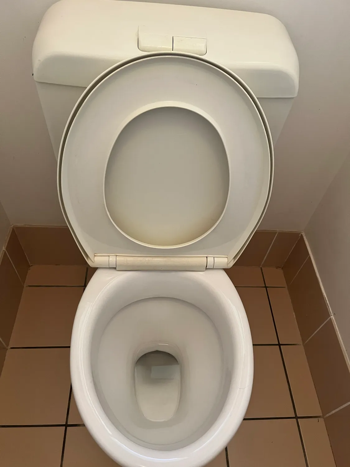 Toilet area with terracotta tiles after cleaning