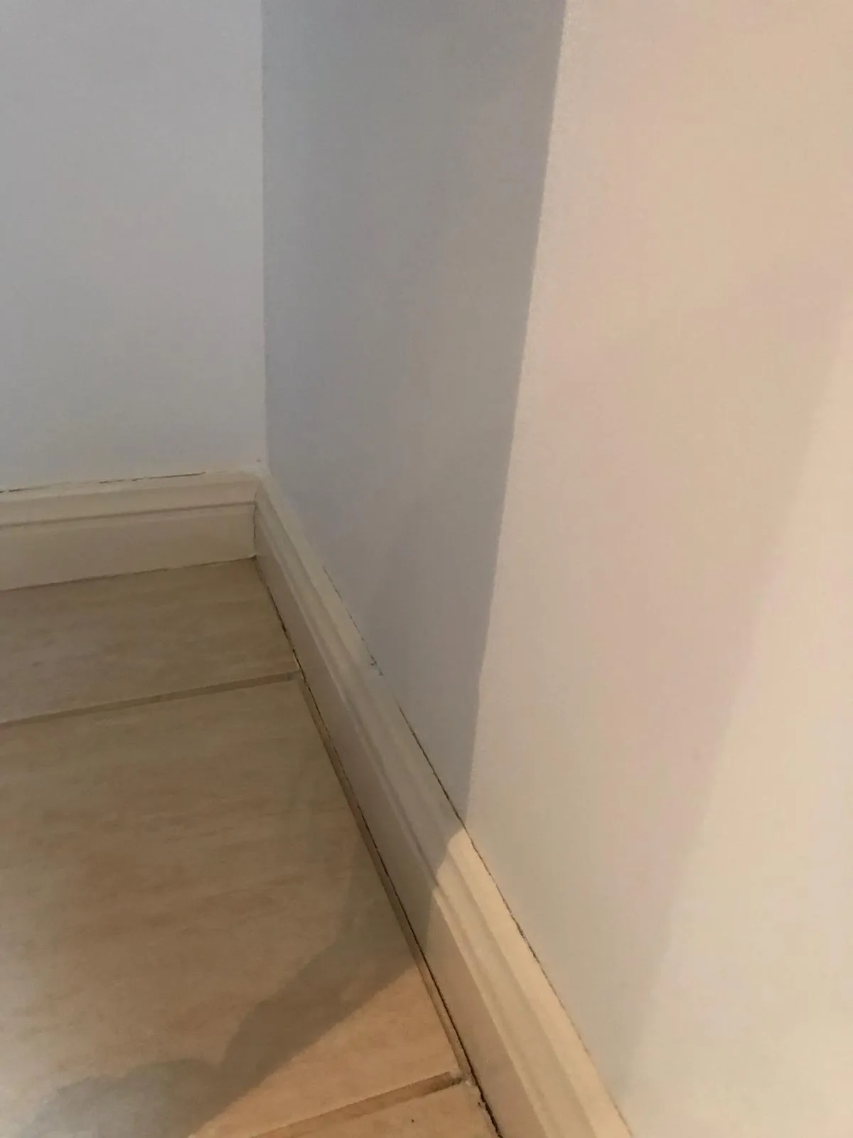 Wall mould after cleaning