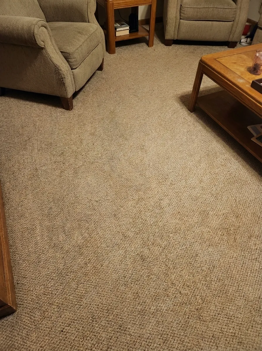 Living room carpet restored to clean condition after steam cleaning