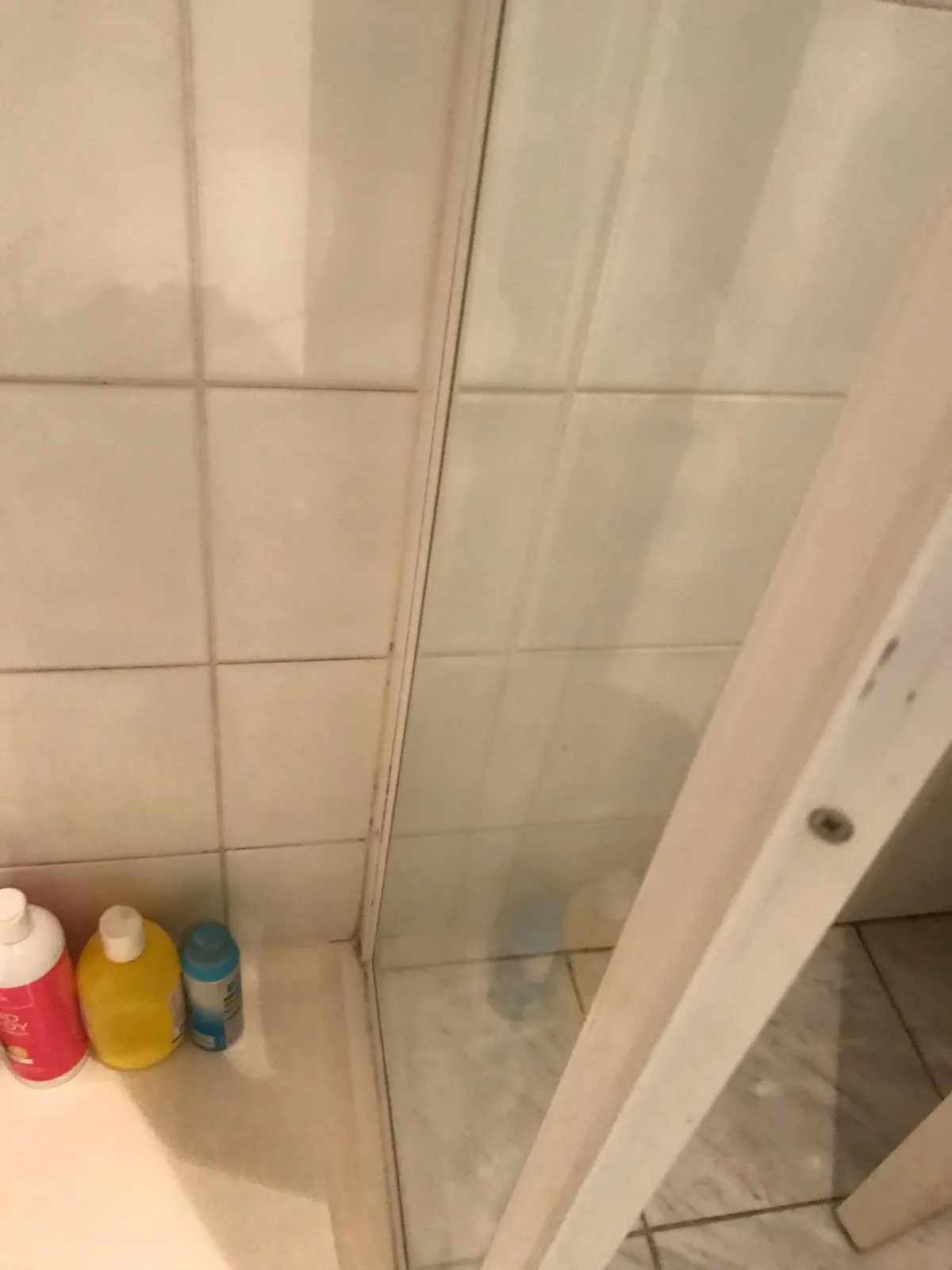 Shower glass door after cleaning