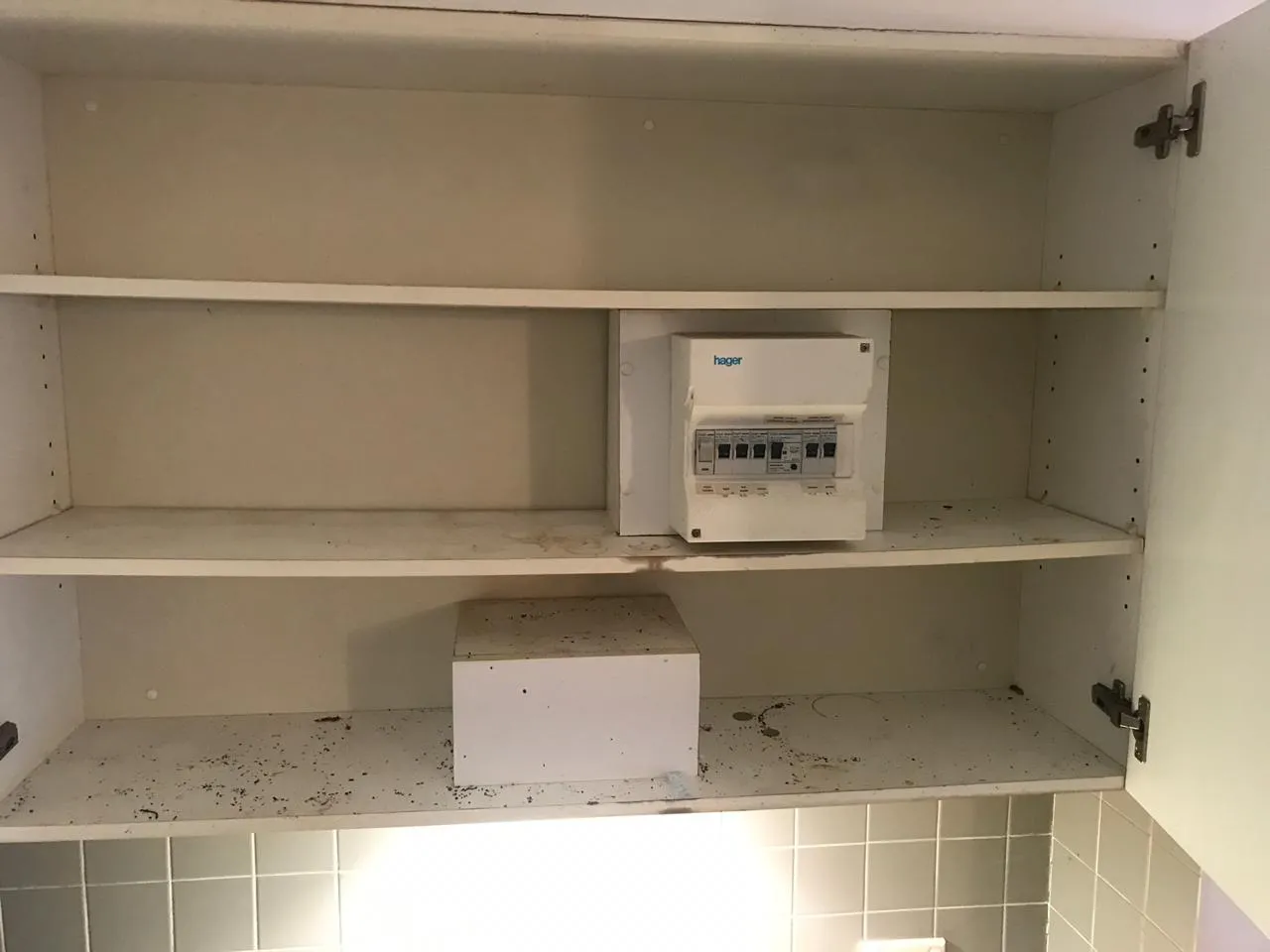 Cabinet shelves before cleaning