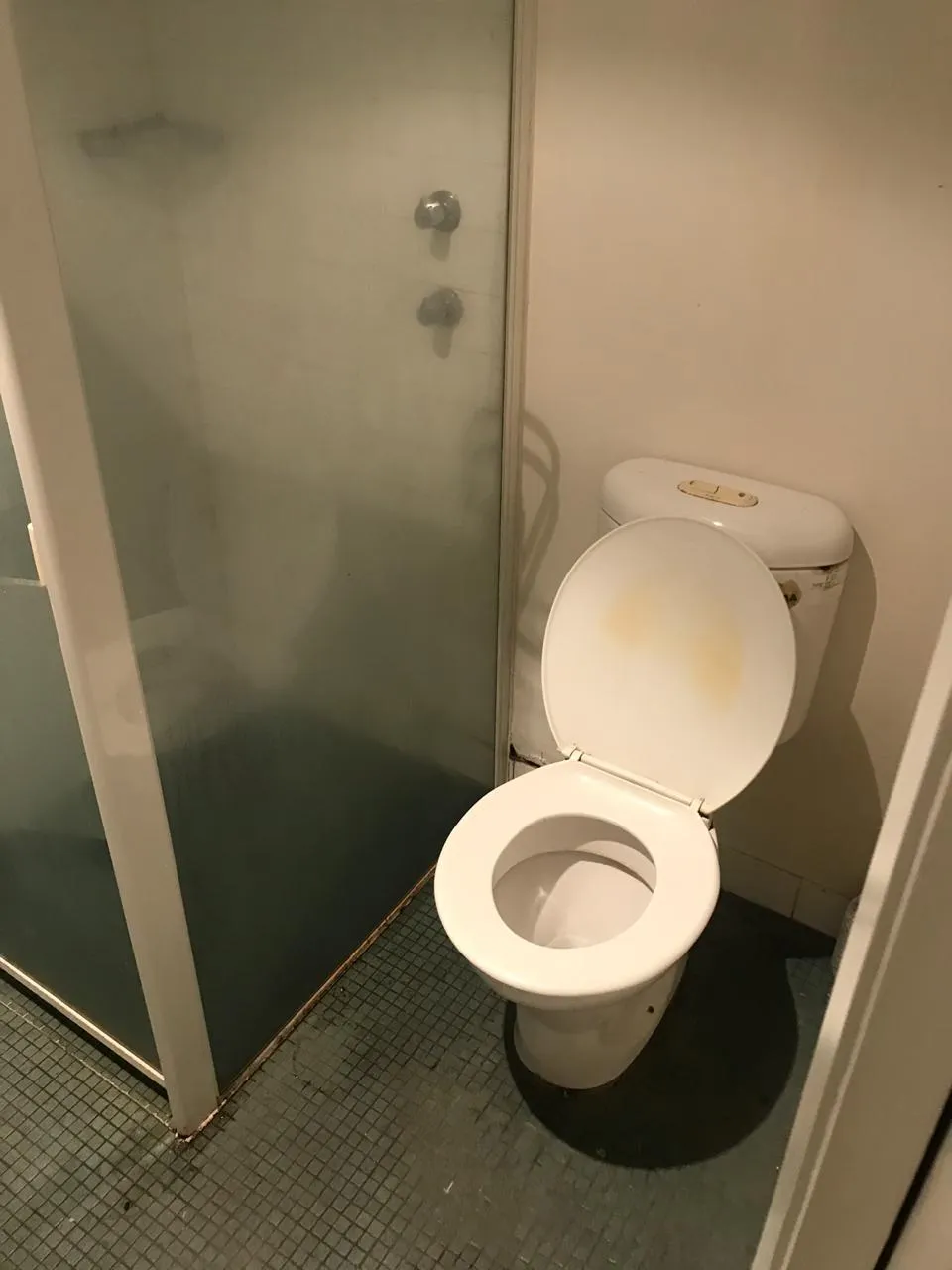Bathroom full view before cleaning