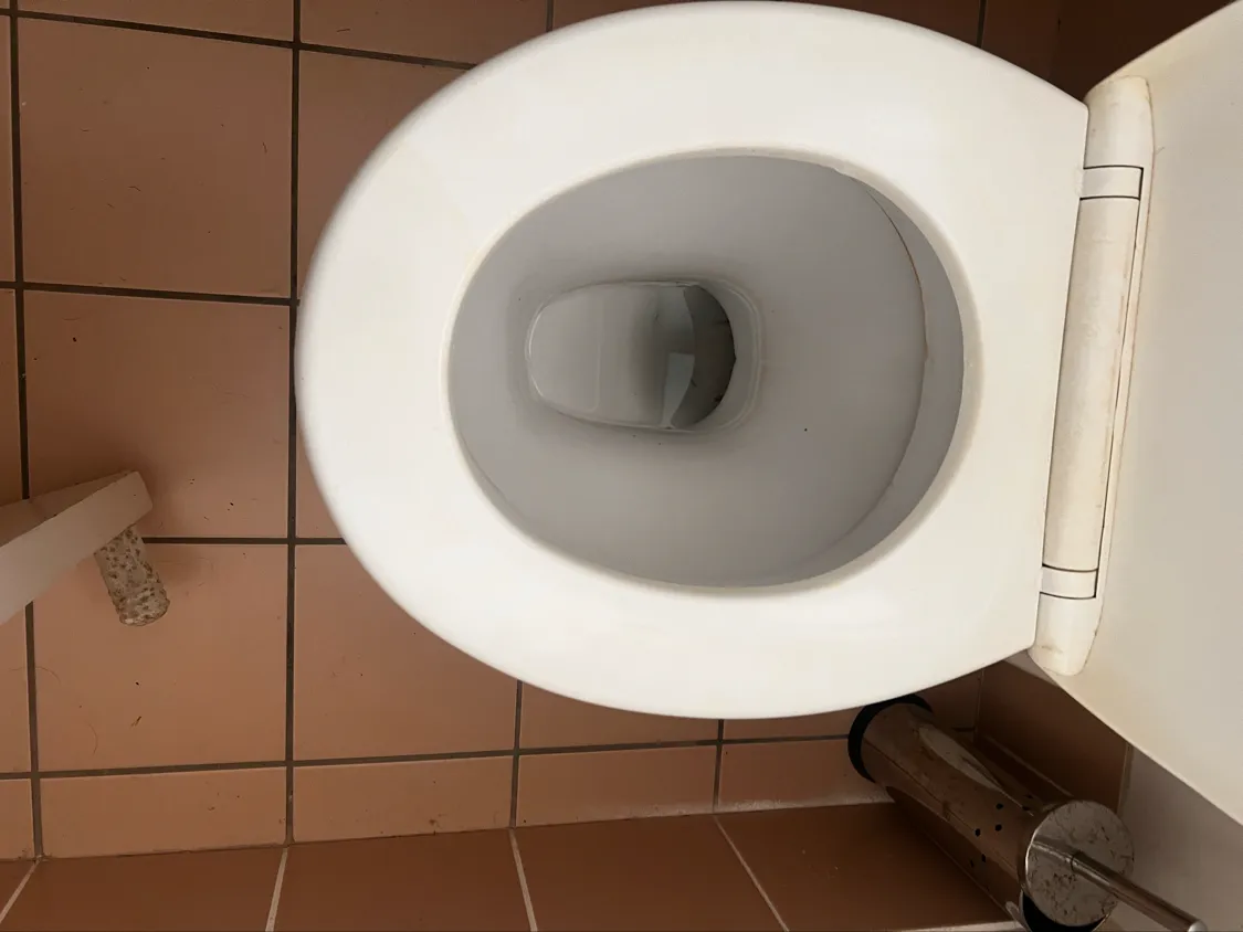 Toilet area with terracotta tiles before cleaning