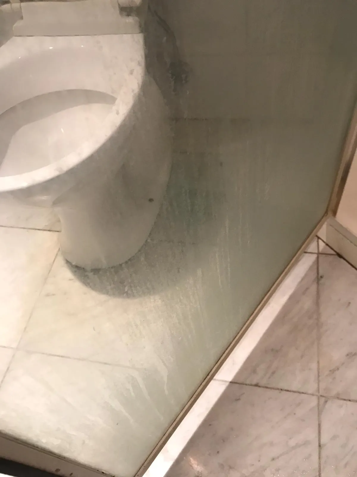 Shower screen before cleaning