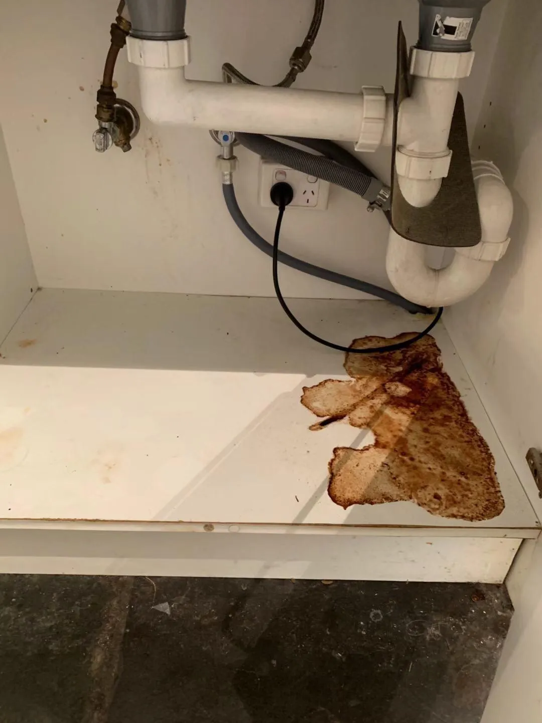 Under sink cabinet before cleaning