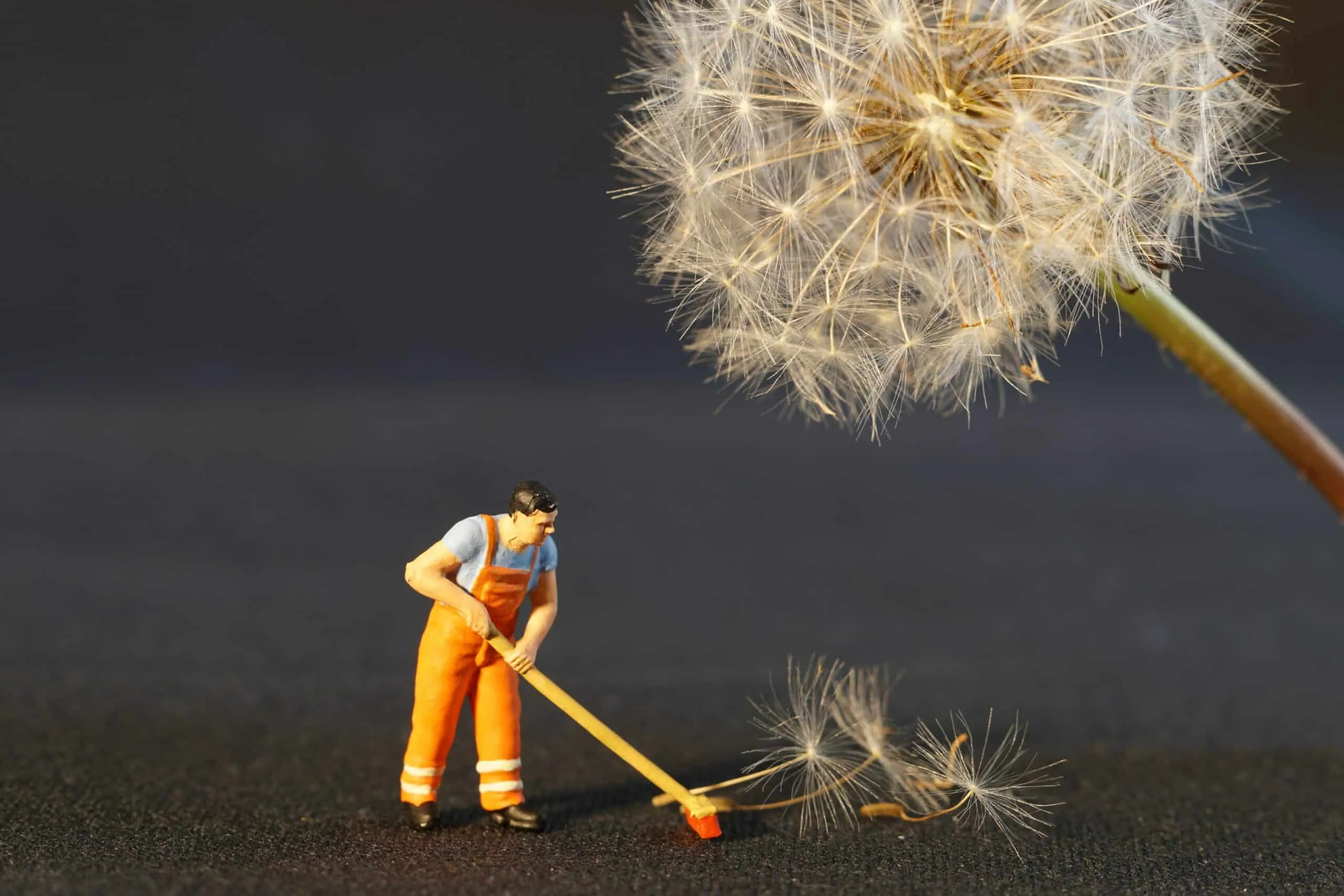 Combatting Allergies in Melbourne Homes: A Deep Cleaning Strategy