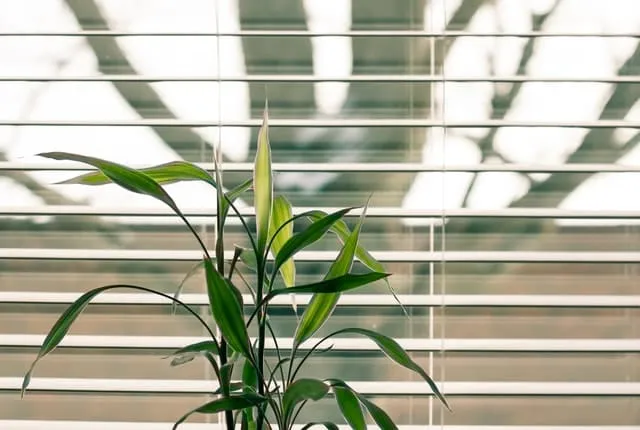 How to Clean Blinds Easily and Quickly
