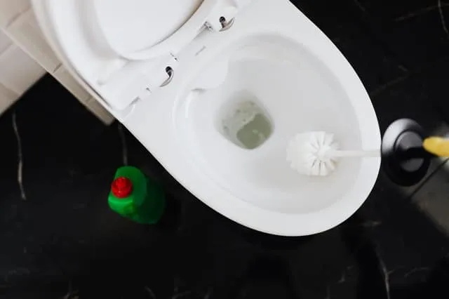 How to Clean Toilet Bowl Stains – Natural Cleaning Hacks