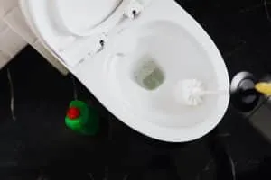 toilet brush scrubbing a toilet