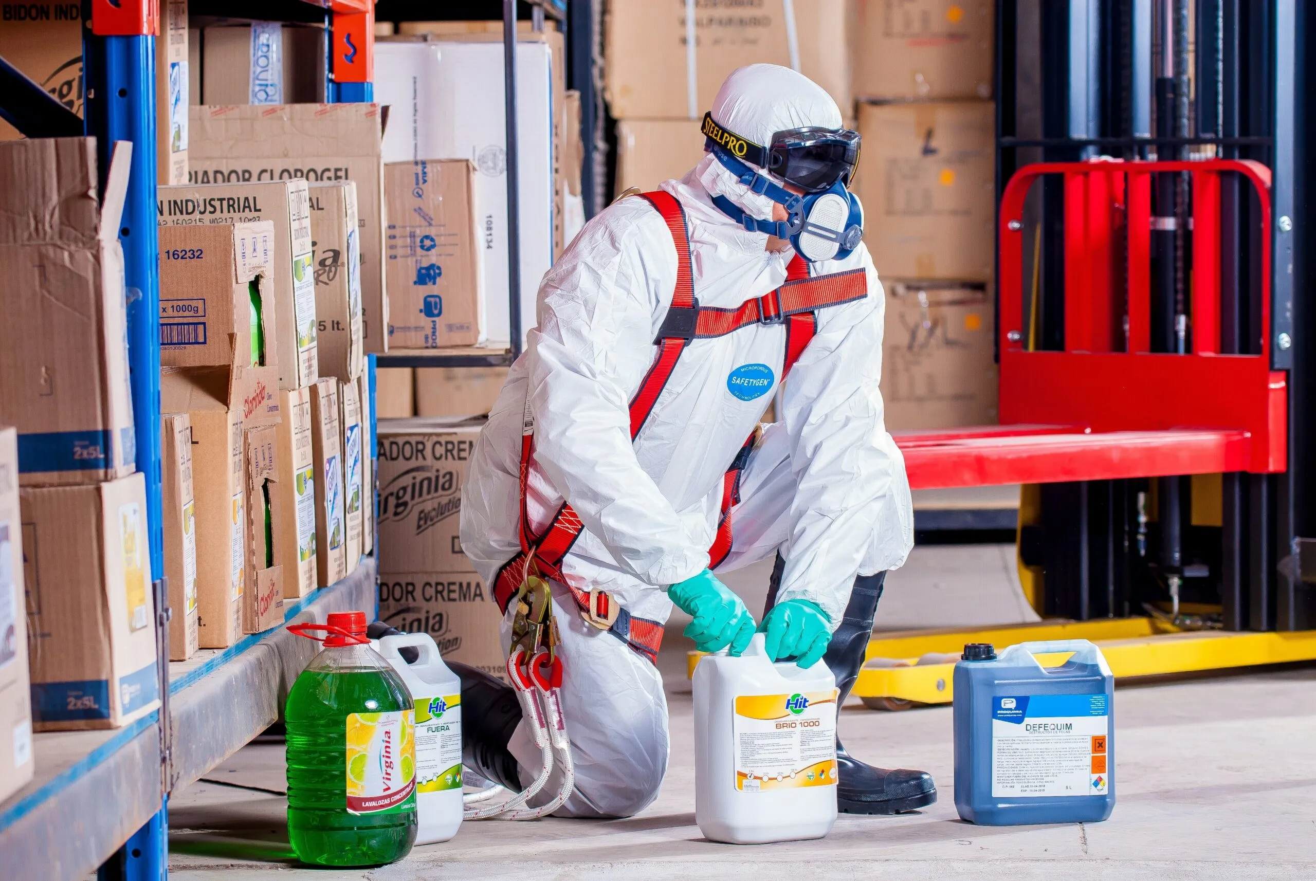 pest control services 