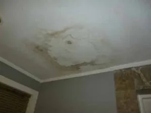 Mould growth on the ceiling