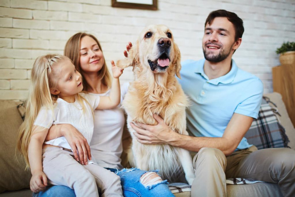 Modern family with pet resting on sofa at home