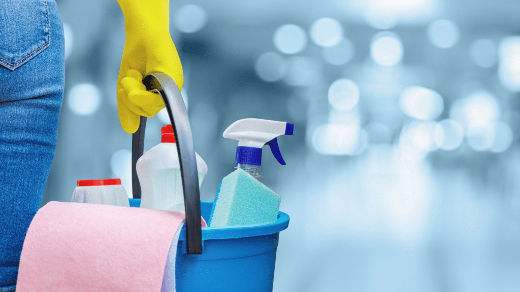 cost of cleaning services